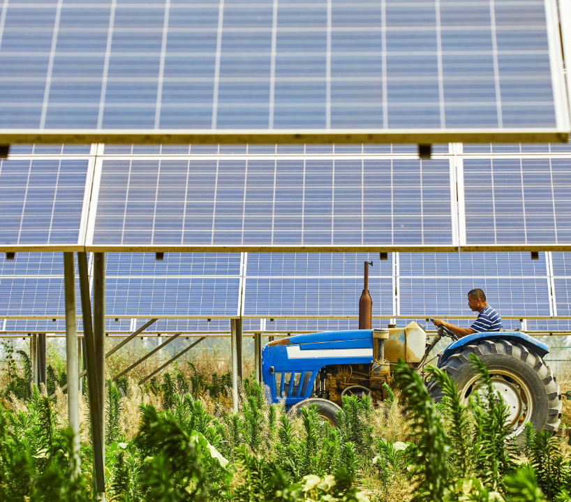 Untitled design (21)