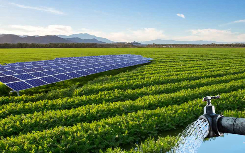 Untitled design (23)