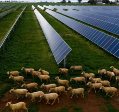 farms solar panel in bangalore farms solar panel in bangalore