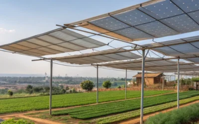 Best Crops Under Solar Shade for Bangalore Peri-Urban Farms